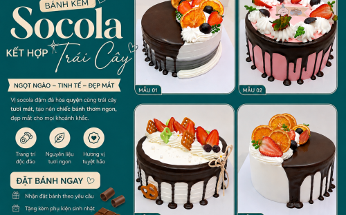 Bánh Kem Socola Kết Hợp Trái Cây – Sự Hòa Quyện Hoàn Hảo Giữa Vị Đắng Dịu Và Sự Tươi Mát