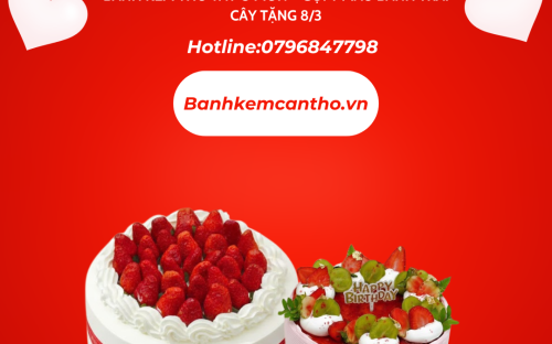 Bánh Kem Thỏ Tây Ô Môn – Gợi ý mẫu bánh trái cây tặng 8/3 ngọt ngào và tinh tế tại Cần Thơ