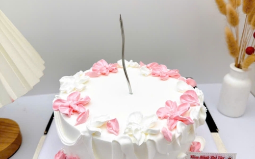 Mẫu bánh kem cho nữ hot 2026 tại Cần Thơ – Xu hướng quà tặng tinh tế, hiện đại và đầy cảm xúc