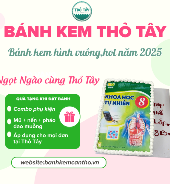 Bánh Kem Hình Vuông – Lựa Chọn Hoàn Hảo Cho Mỗi Dịp Đặc Biệt