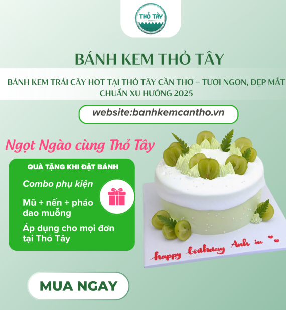 Bánh Kem Trái Cây Hot Tại Thỏ Tây Cần Thơ – Tươi Ngon, Đẹp Mắt, Chuẩn Xu Hướng 2025
