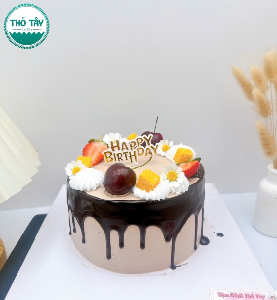 Bánh Kem trái cây socola hot tại cần thơ