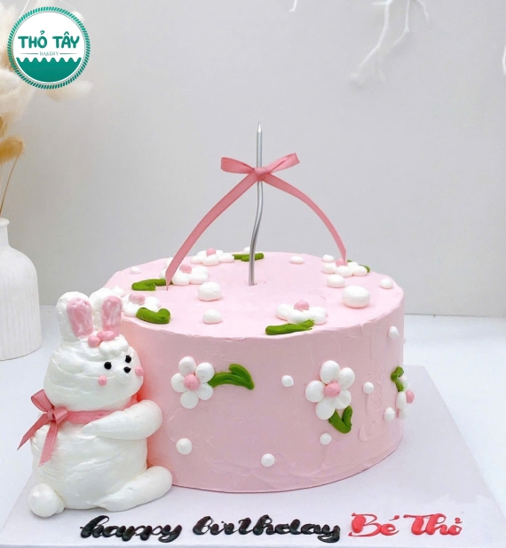 Bánh kem hàn quốc tone dành cho nữ tone hồng