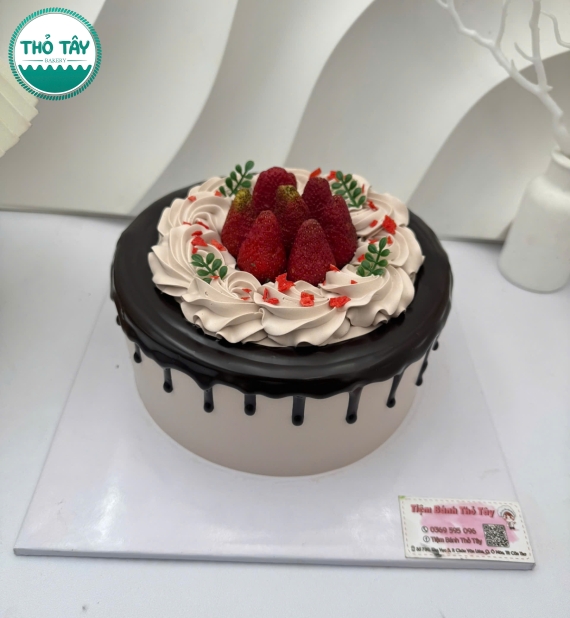 Mẫu bánh trái cây đẹp socola mix dâu tây 