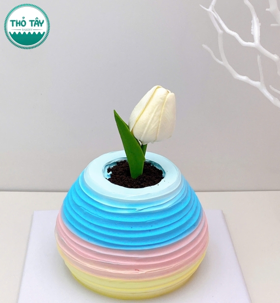 Bánh kem hàn quốc mẫu tạo hình bình hoa đẹp