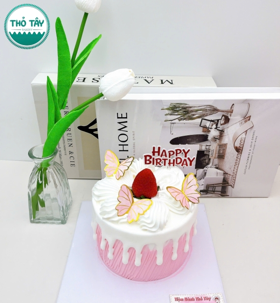 Bánh Kem Mini Cho Nữ