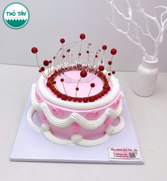 Bánh Kem Tone Pastel Cho Nữ Hot 2026