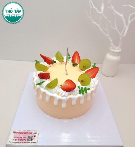 Bánh Kem trái cây tone màu cam pastel 