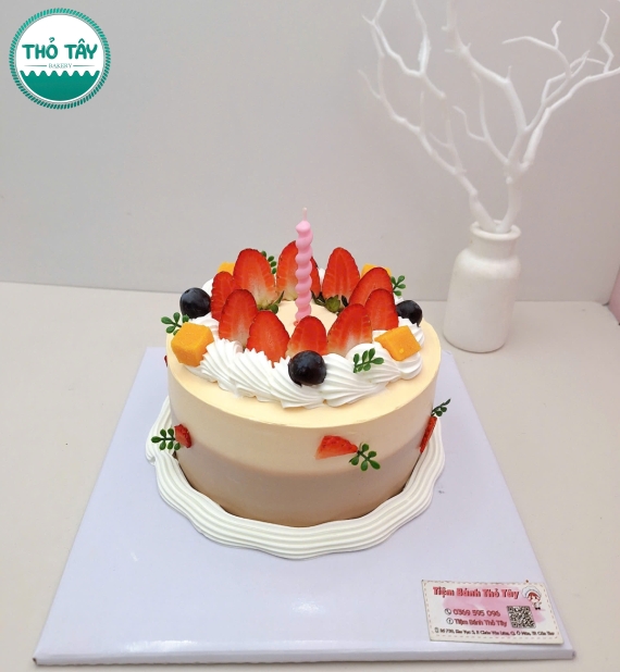 Bánh Kem trái cây tone mẫu hot nhất hiện nay 