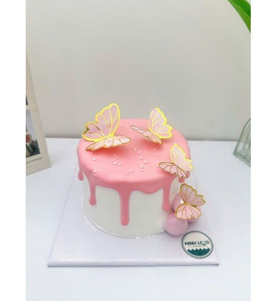 Bánh Kem dành cho nữ đẹp 20 tuổi 