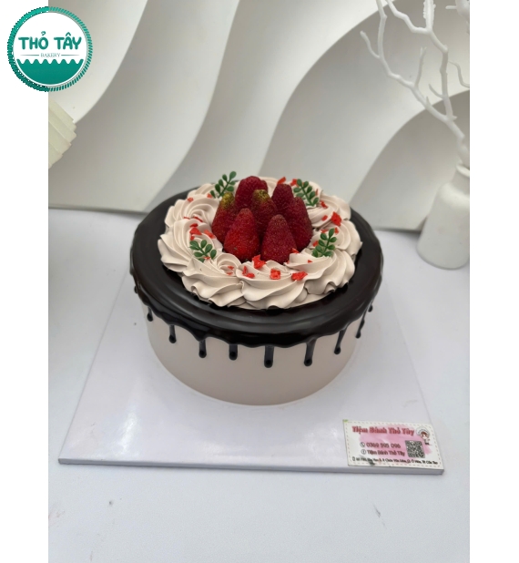 Mẫu bánh trái cây đẹp socola mix dâu tây 